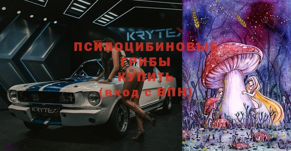 хмурый Армянск