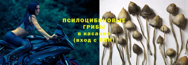 спиды Аркадак