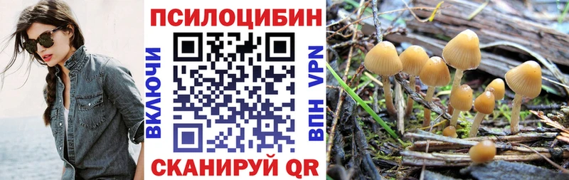 продажа наркотиков  блэк спрут ССЫЛКА  Галлюциногенные грибы мицелий  Бавлы 